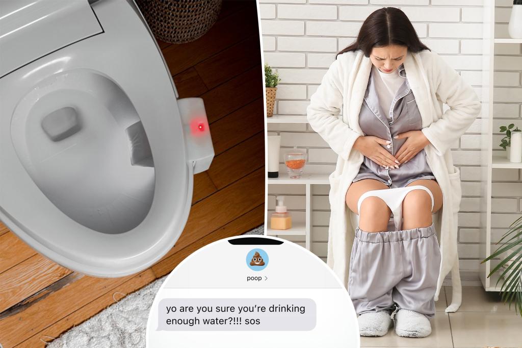 AI toilet camera takes pictures of poo – here's why you want a faecal record